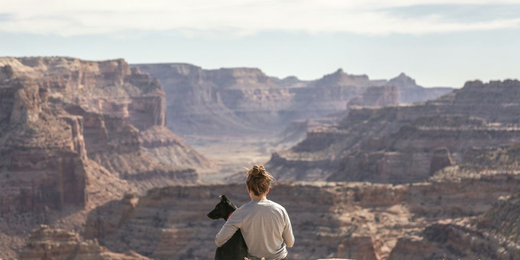 person with dog sitting on Grand Canyon cliff