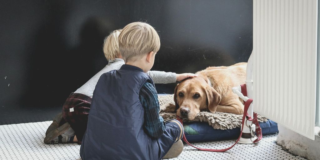 10 Razas de Perros Perfectas para Familias con Niños